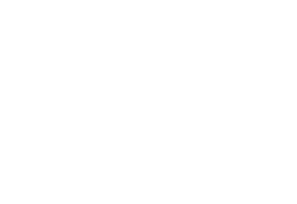 the ventures white logo